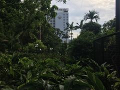 -九龙公园