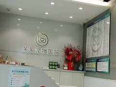 -关爱宠物医院·猫科中心·消化科(滨湖万达分院)