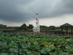 -荷塘月色湿地公园·向阳花洲