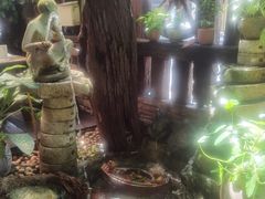 -自然餐厅(Phuket)