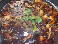 -云溪河冷锅鱼(成都玉林小吃街店)