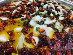 -周正水煮活鱼·吊水鱼(万科店)