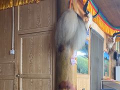 -银同牦牛肉火锅