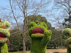 -洛阳市隋唐城遗址植物园