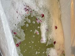 -大连金石滩绿发温泉假日酒店