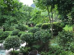 -英德宝晶宫天鹅湖茶语温泉