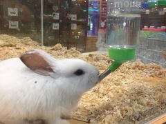 -龟与熊猫宠物公园(南坪店)