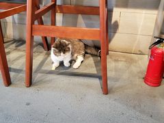 -IFIF 如果花園(宽厚里店)