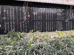 -东方巨龟苑景区