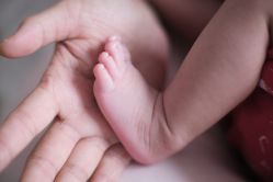 -海豚湾高端月子会所(黄浦店)