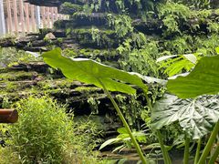 -凤来栖·净庭院·火锅(欧尚店)