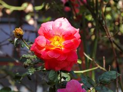 -齐白石旧居纪念馆