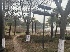 -金鸡湖桃花岛