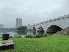-飞来湖湿地公园