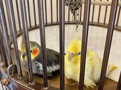 -义乌之心城市生活广场