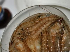 -红鼎豆捞·非遗鲍皇汤火锅(宝丰路店)