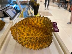 -伊藤洋华堂(高新店)