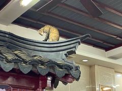 -协和菜馆(凤凰街店)