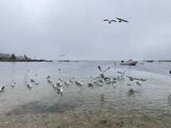 -星海广场
