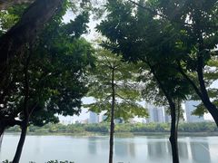 -南宁南湖公园
