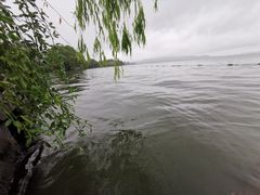 -浙江西子宾馆·牡丹厅
