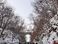 -北山公园