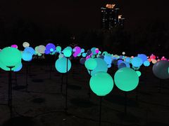 -锦江乐园舞狸花花游园会(夜场专享)