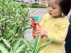 -全优加早教托育园(广百新一城店)