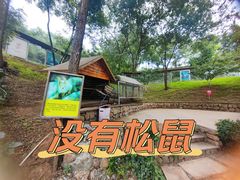 -欢乐松鼠谷