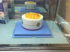-维尔纳斯·生日蛋糕·动物奶油冰淇淋蛋糕(六里桥店)