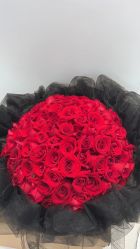 -I Do(重庆龙湖北城天街购物广场店)