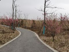 -广富林郊野公园