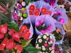 -循礼门鲜花花市(武汉循礼门店)