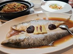 -苏浙汇(肇嘉浜路总店)