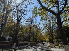 -八大关景区