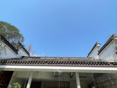 -日出青木