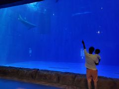 -华夏文旅海洋公园