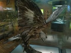 -陕西自然博物馆