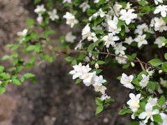 -白草畔自然风景区