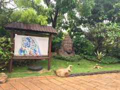 -厦门日月谷温泉渡假村