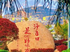 -单家老院·院子里的青岛菜(沙子口店)
