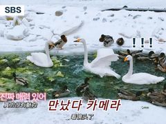 -新疆天山野生动物园