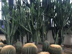 -苏州吴中太湖旅游区