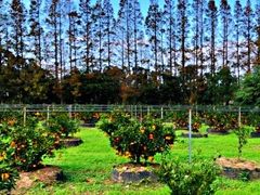 -前小桔亲子创意农场·草莓采摘·露营烧烤