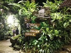 -绿光森林餐厅