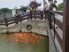 -桃花岛风景旅游区