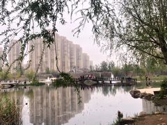 -前关湿地公园