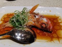 -顺轩海鲜火锅酒家