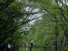 -西溪南古村落