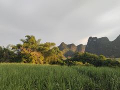 -明仕田园